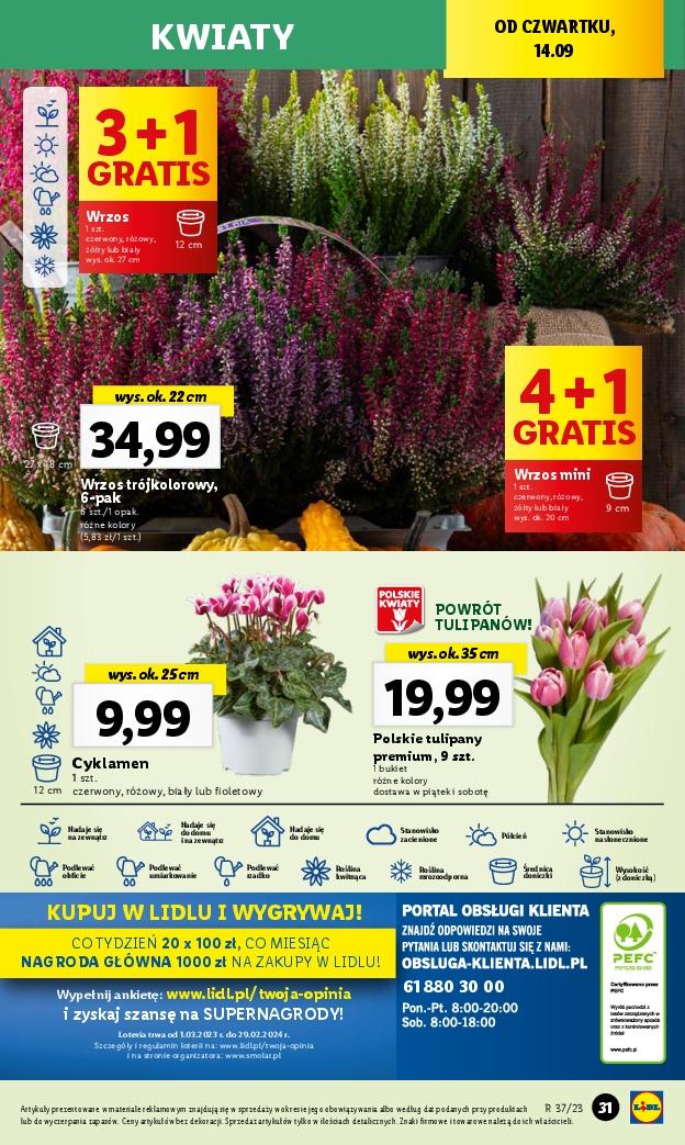 Gazetka promocyjna Lidl do 16/09/2023 str.43