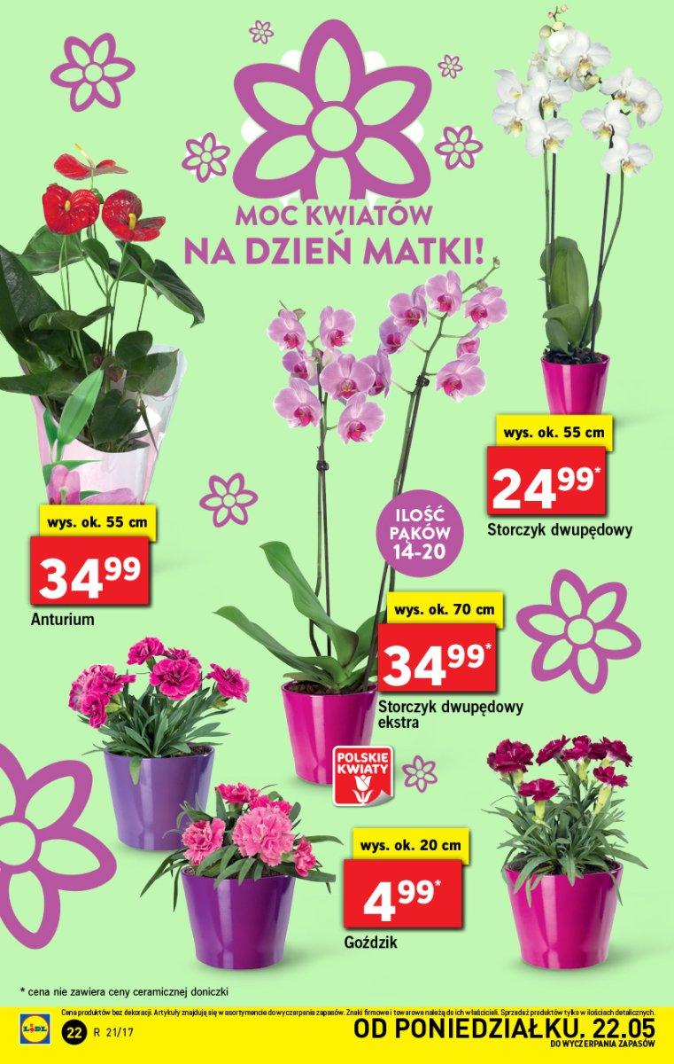 Gazetka promocyjna Lidl do 24/05/2017 str.22