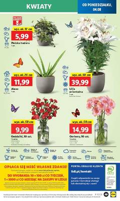 Lidl od poniedziałku