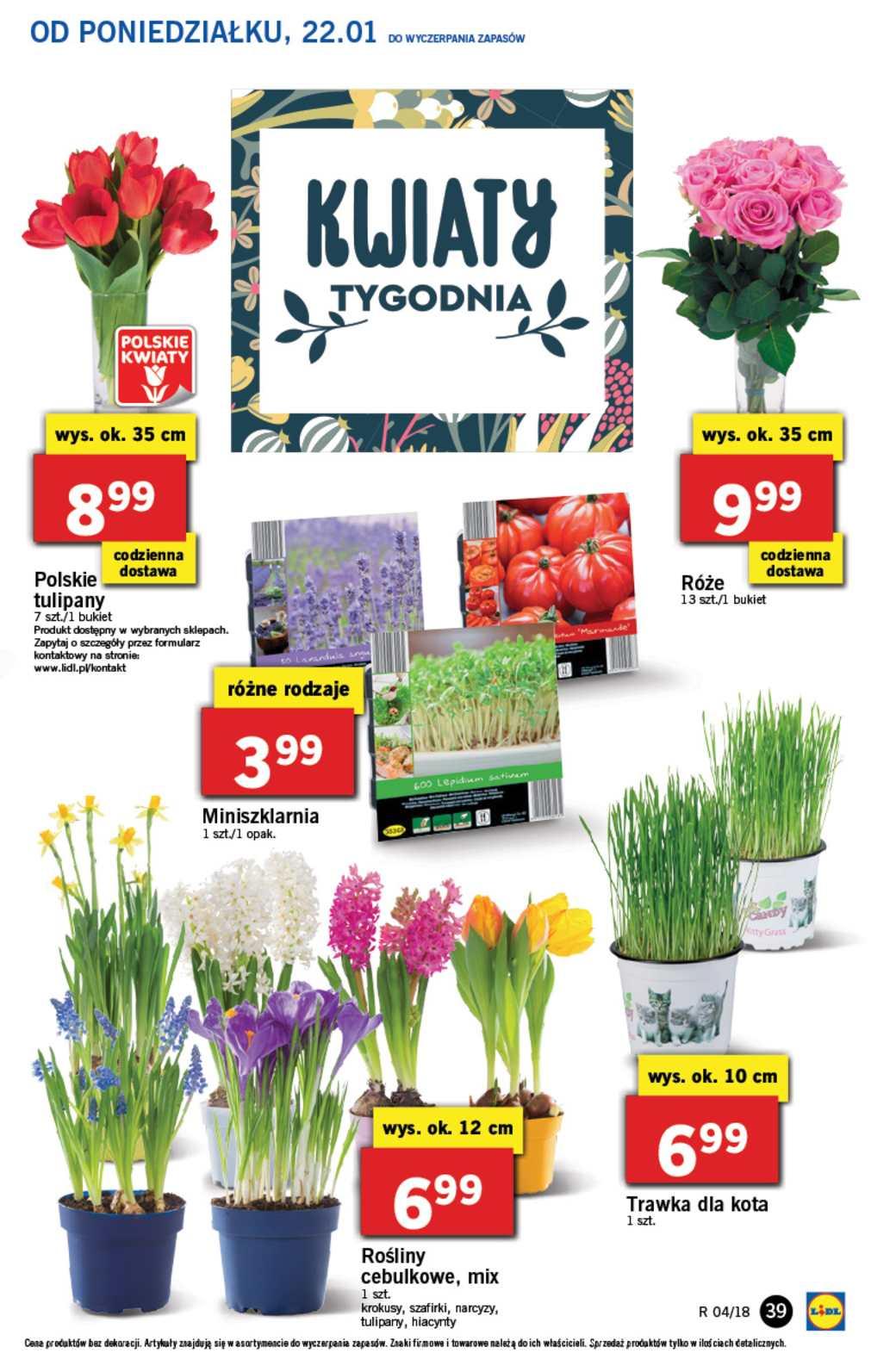 Gazetka promocyjna Lidl do 24/01/2018 str.39