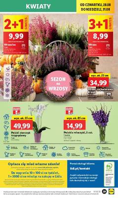 Lidl od czwartku