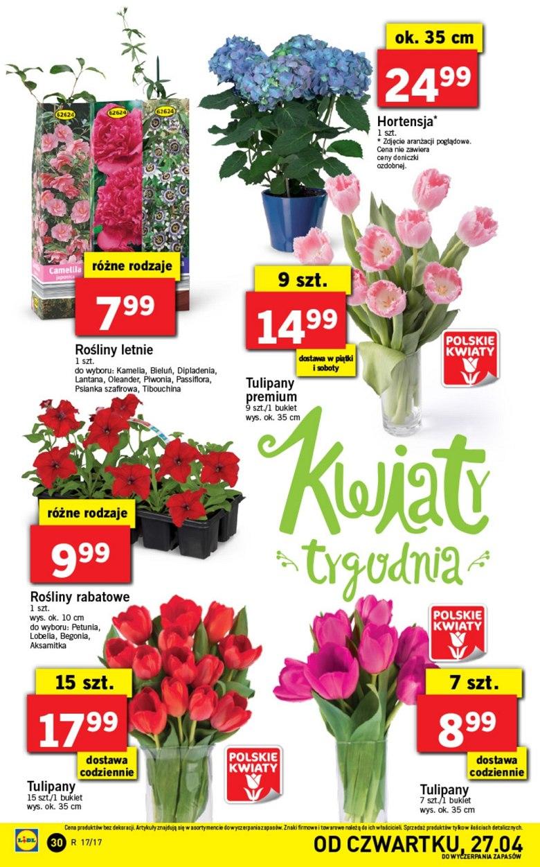 Gazetka promocyjna Lidl do 02/05/2017 str.30