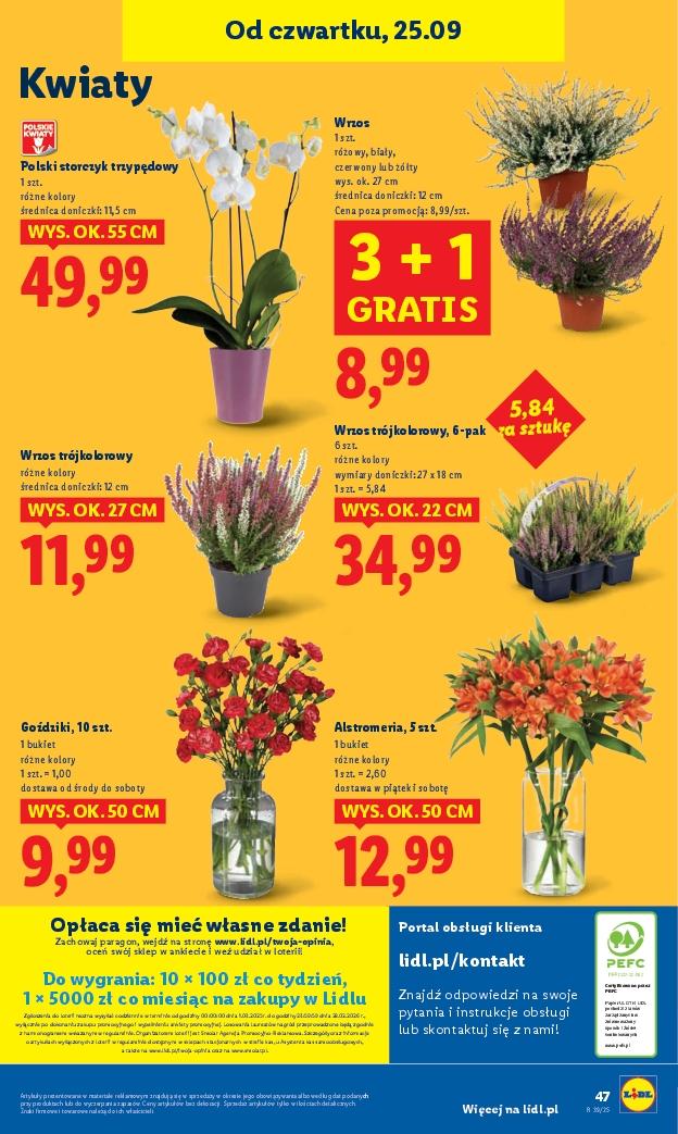 Gazetka promocyjna Lidl do 27/09/2025 str.51