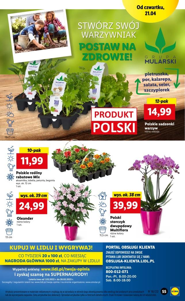 Gazetka promocyjna Lidl do 24/04/2022 str.55