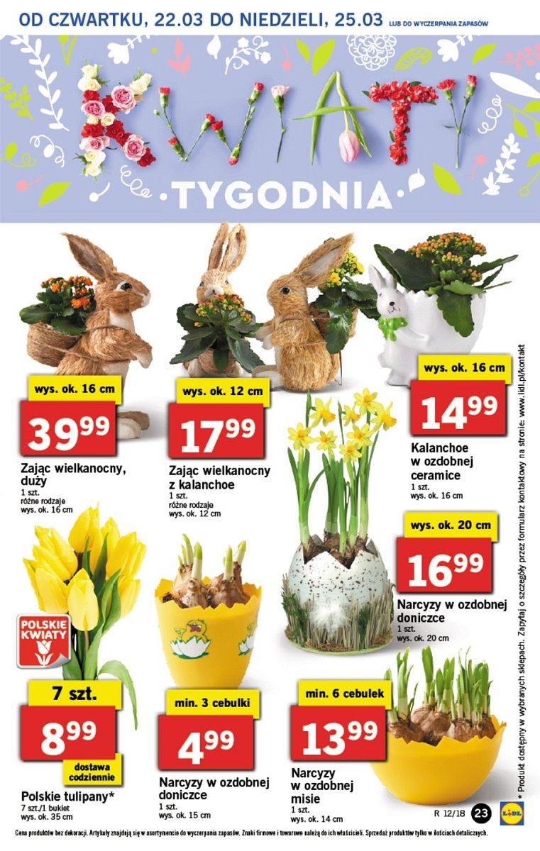 Gazetka promocyjna Lidl do 25/03/2018 str.24