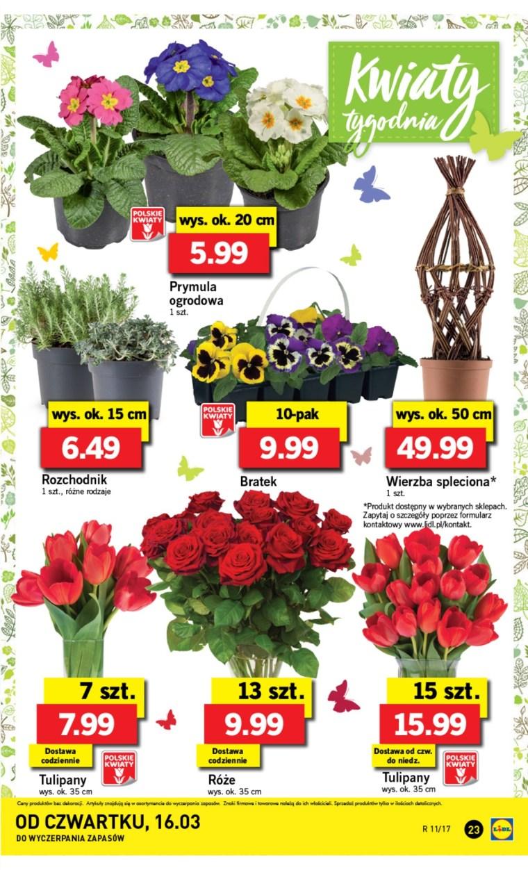 Gazetka promocyjna Lidl do 19/03/2017 str.23