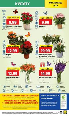 Lidl od czwartku