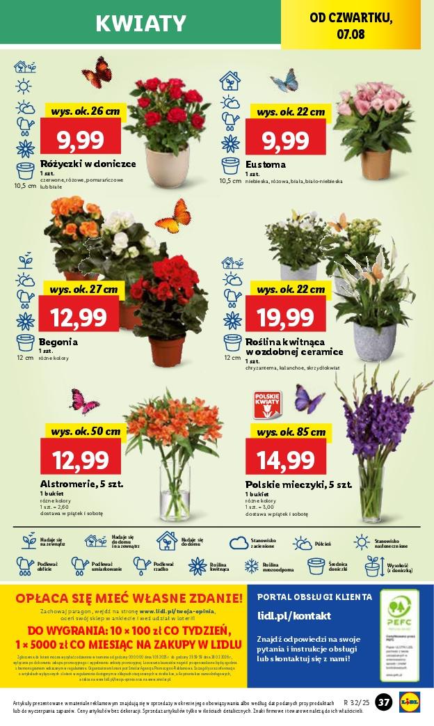 Gazetka promocyjna Lidl do 09/08/2025 str.49
