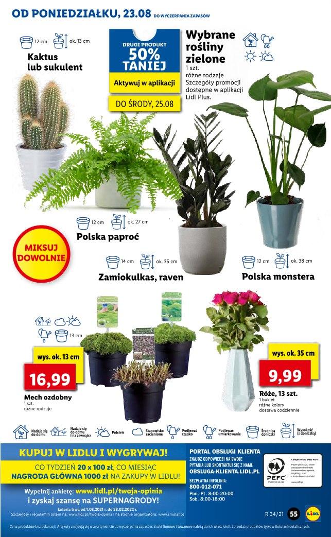 Gazetka promocyjna Lidl do 29/08/2021 str.55