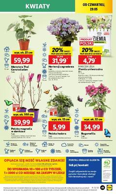 Lidl od czwartku