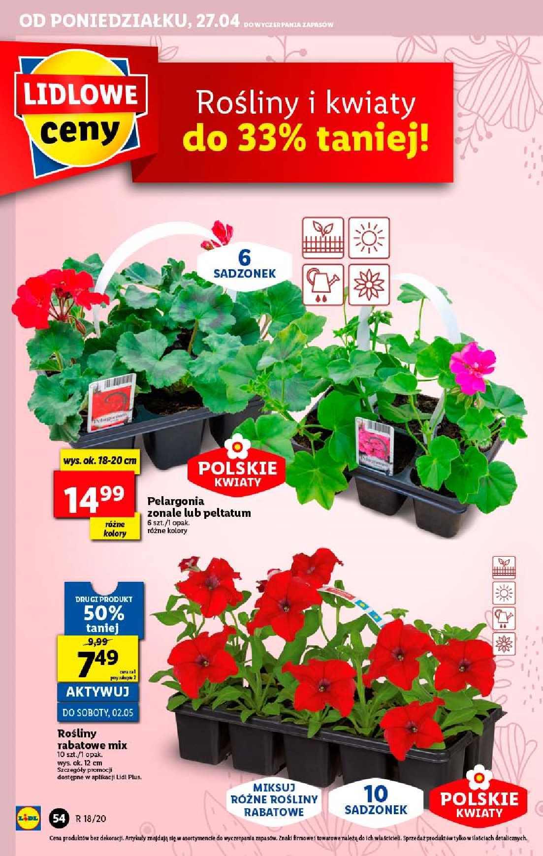 Gazetka promocyjna Lidl do 29/04/2020 str.54