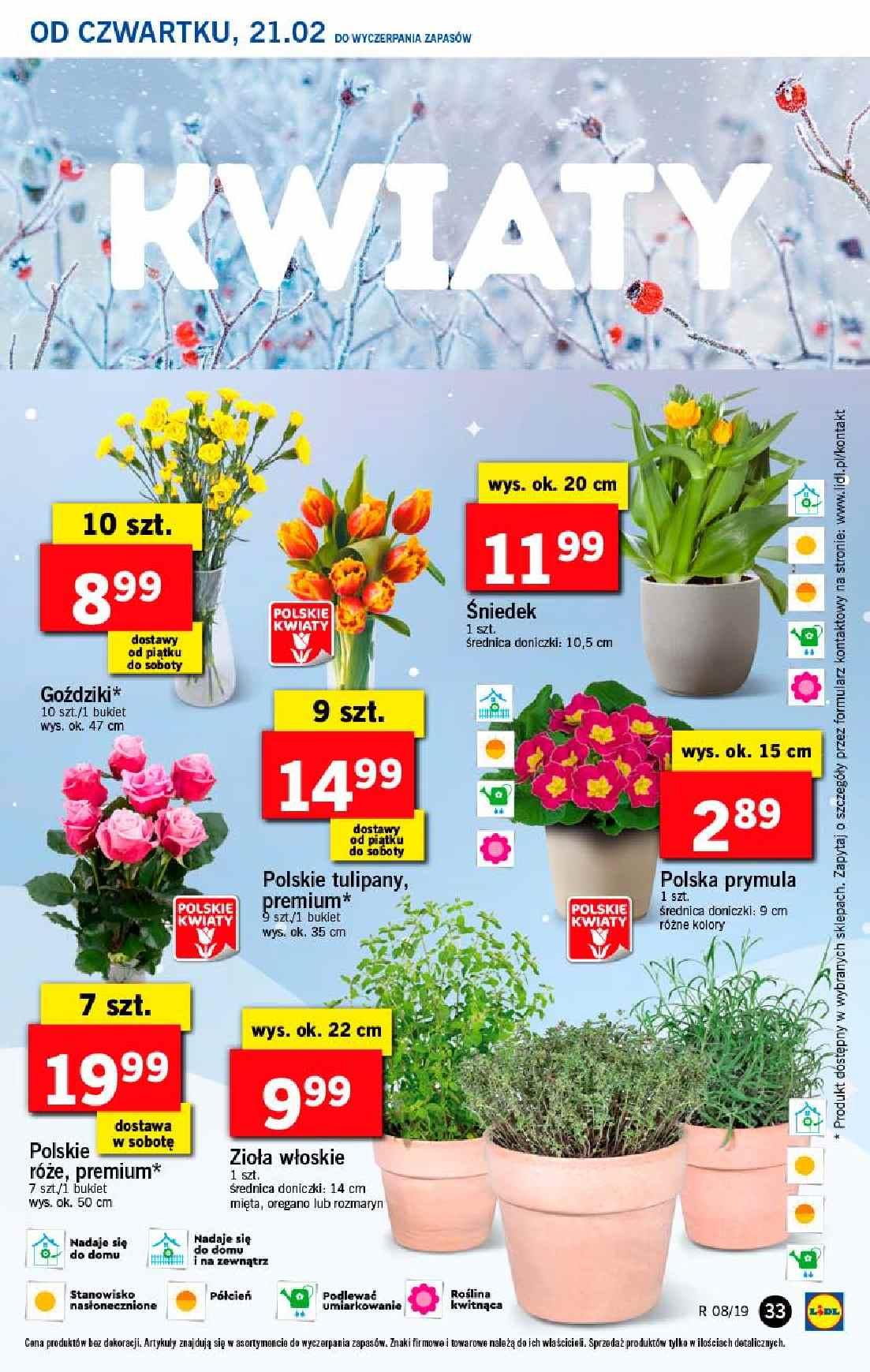 Gazetka promocyjna Lidl do 24/02/2019 str.33