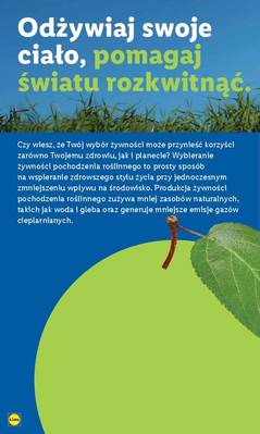 Lidl od poniedziałku