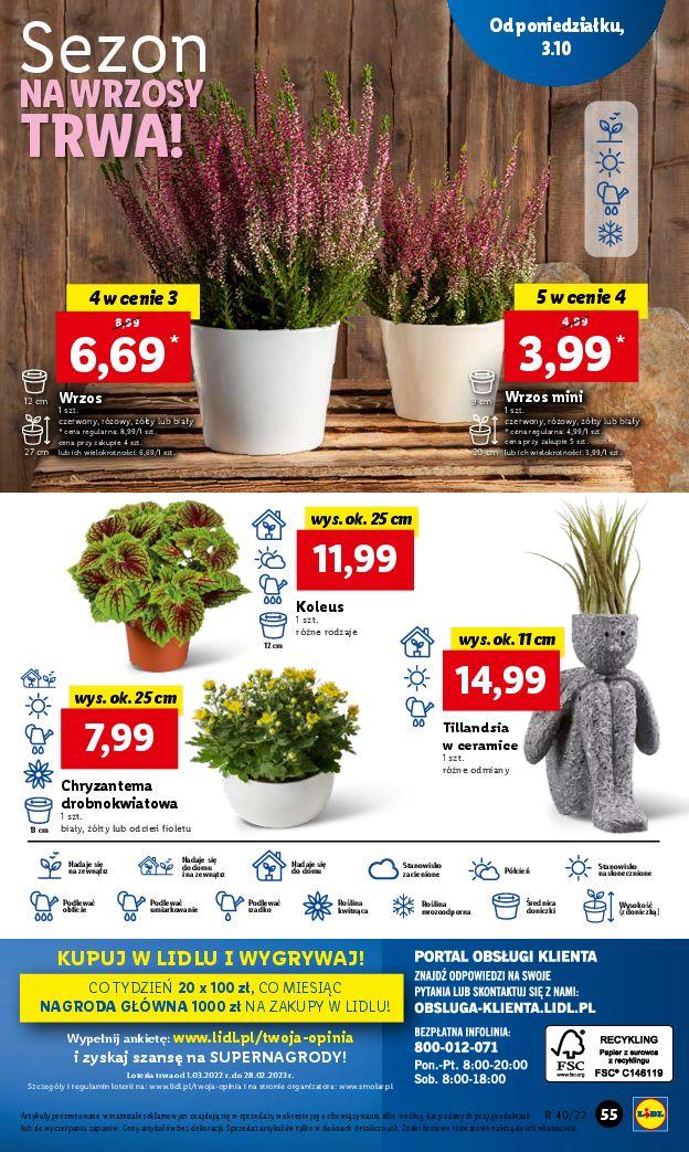 Gazetka promocyjna Lidl do 05/10/2022 str.55