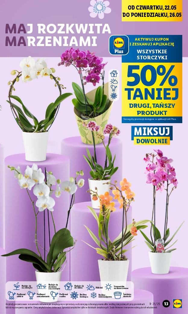Gazetka promocyjna Lidl do 24/05/2025 str.15
