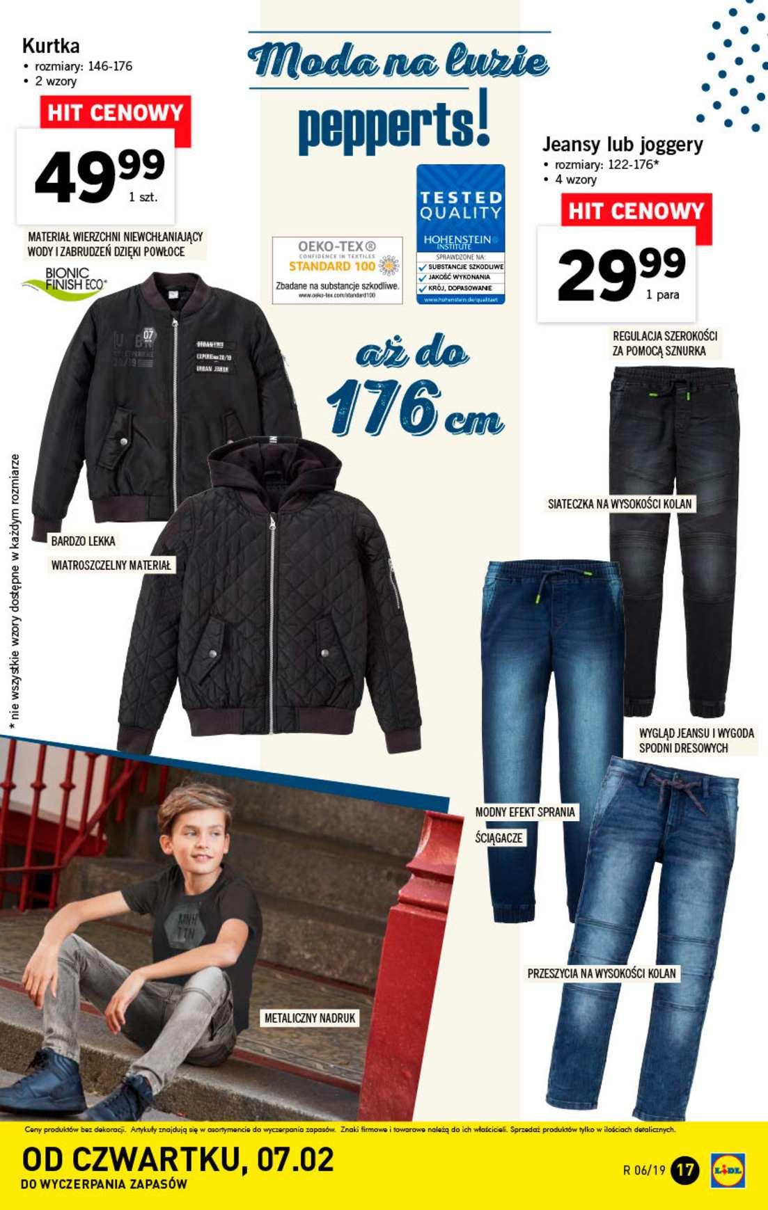 Gazetka promocyjna Lidl do 10/02/2019 str.17