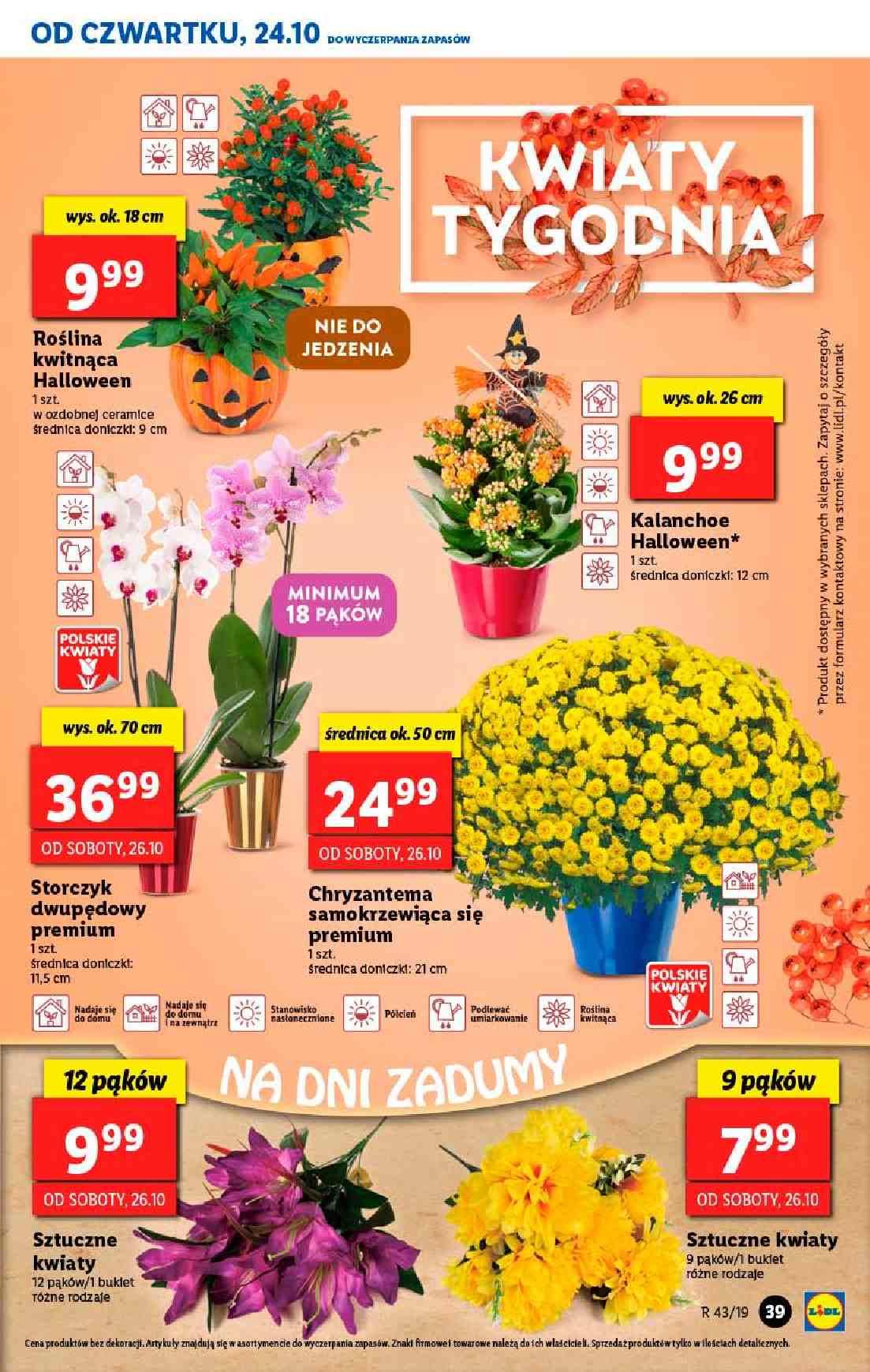 Gazetka promocyjna Lidl do 27/10/2019 str.39