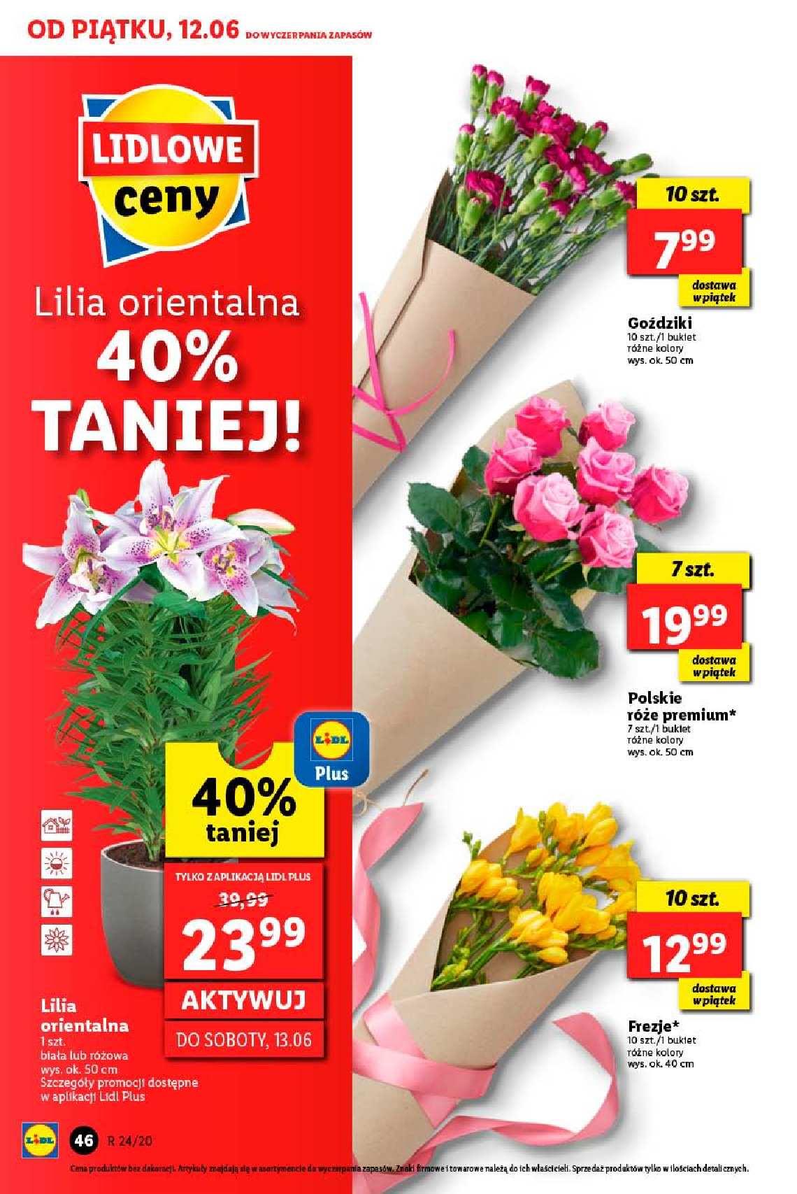 Gazetka promocyjna Lidl do 13/06/2020 str.46