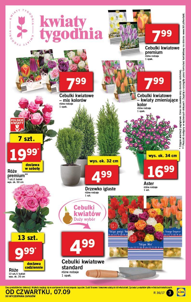 Gazetka promocyjna Lidl do 10/09/2017 str.3