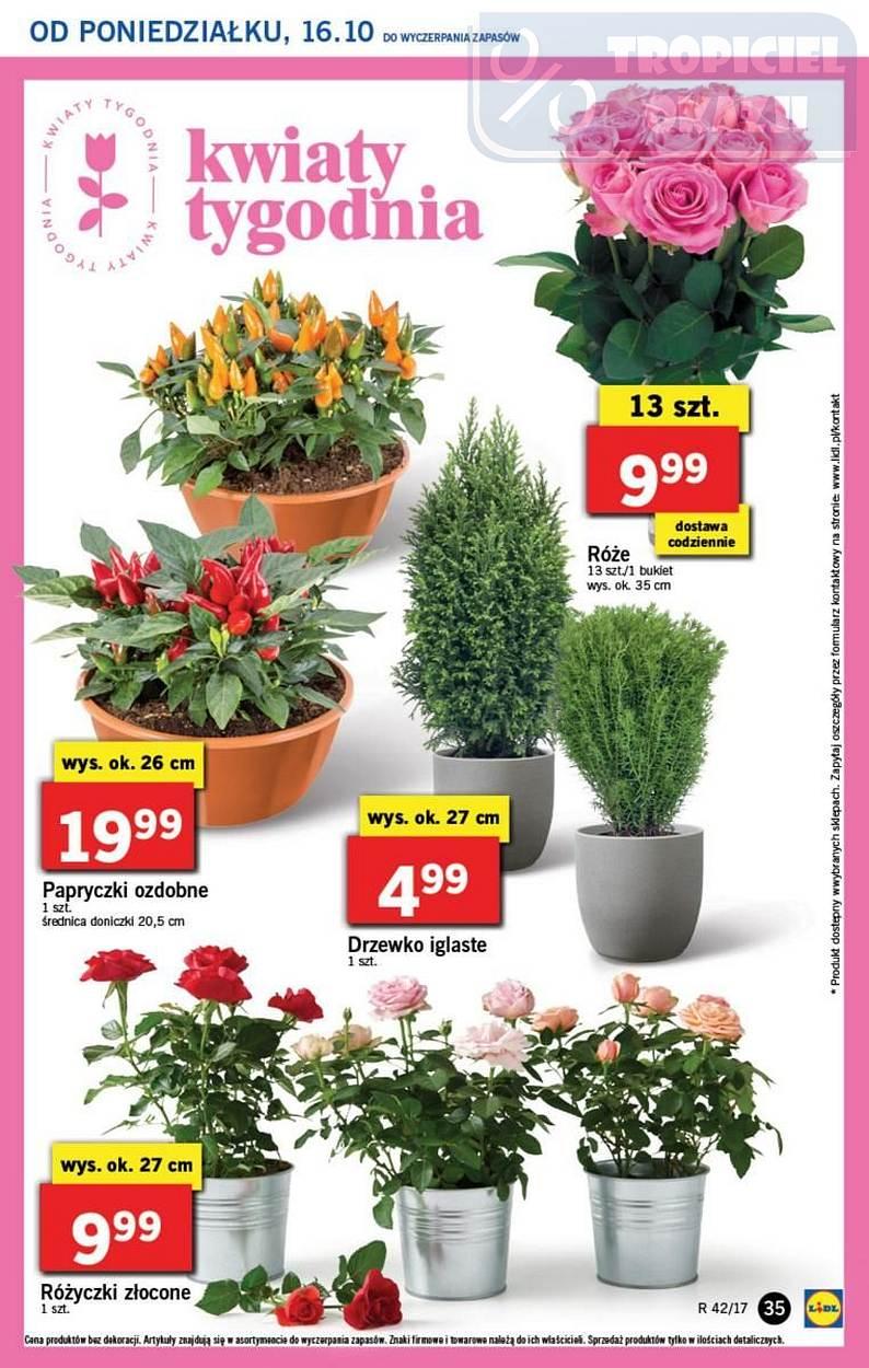 Gazetka promocyjna Lidl do 18/10/2017 str.35