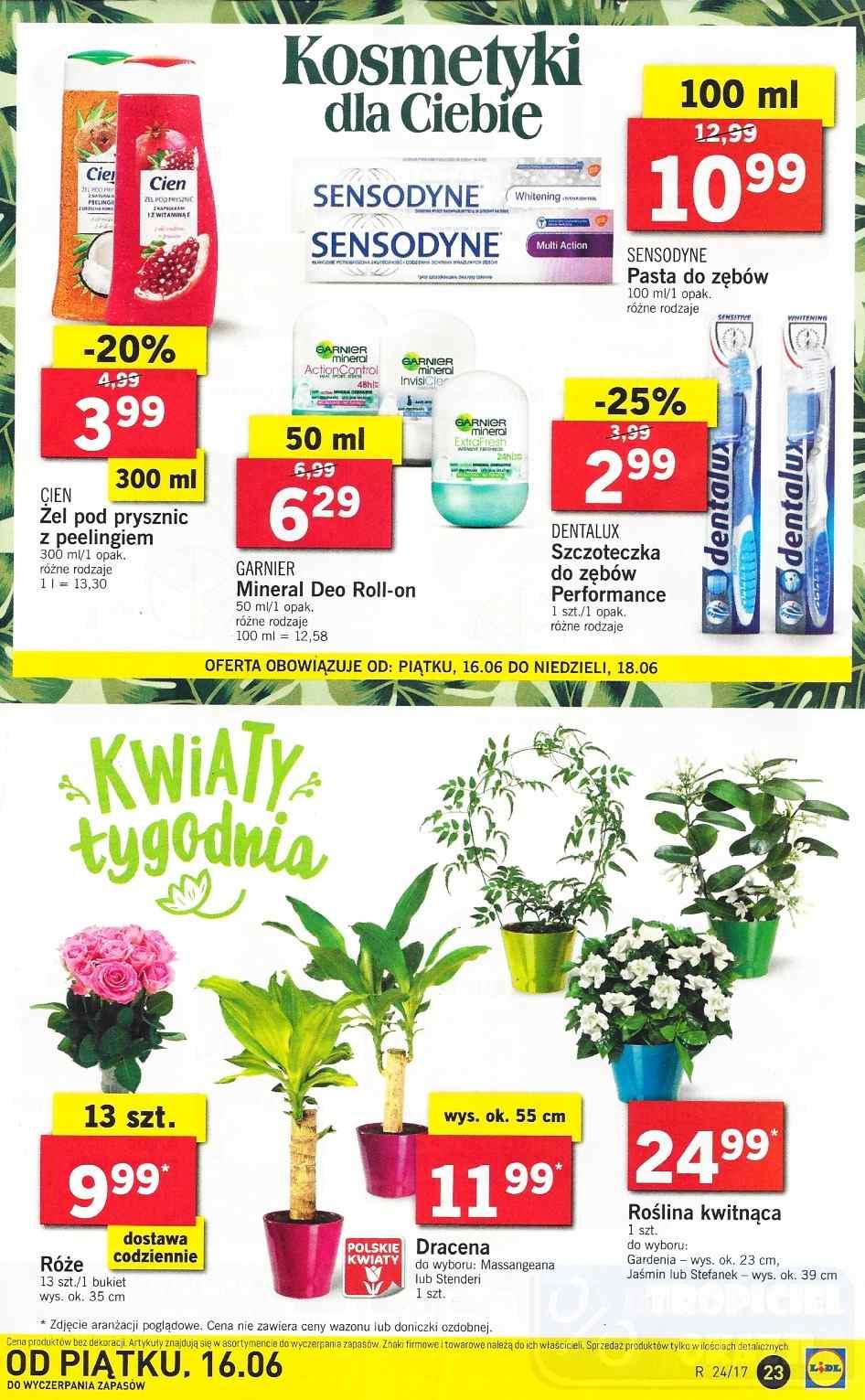 Gazetka promocyjna Lidl do 18/06/2017 str.23