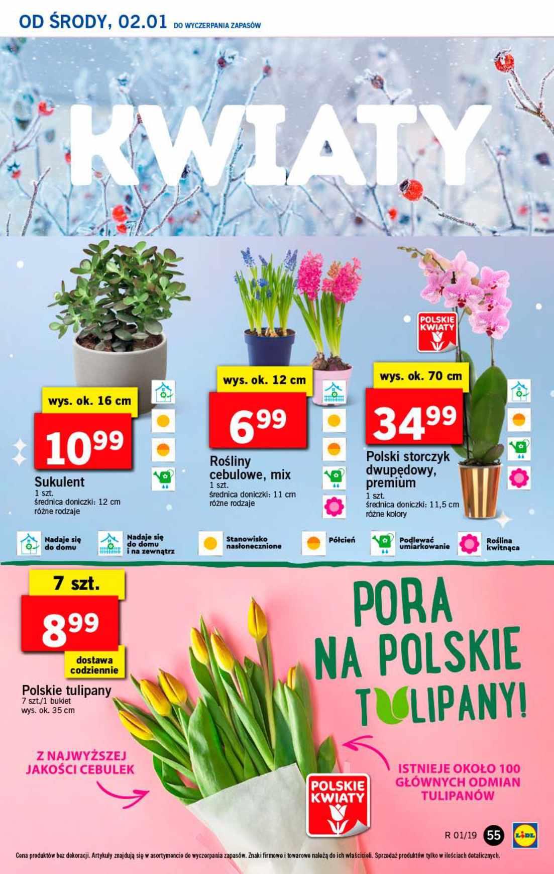 Gazetka promocyjna Lidl do 05/01/2019 str.55