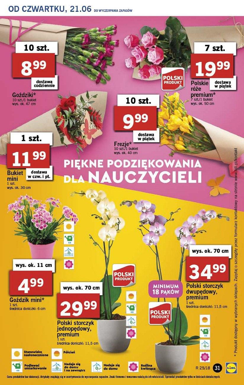 Gazetka promocyjna Lidl do 24/06/2018 str.31