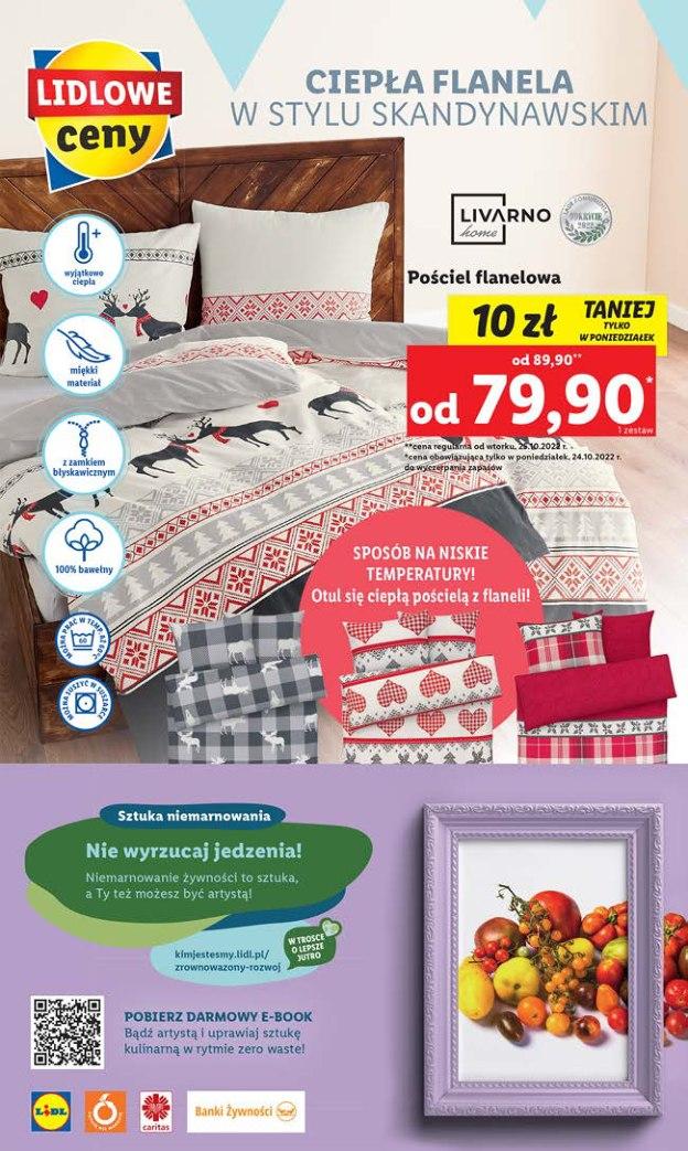 Gazetka promocyjna Lidl do 31/10/2022 str.64