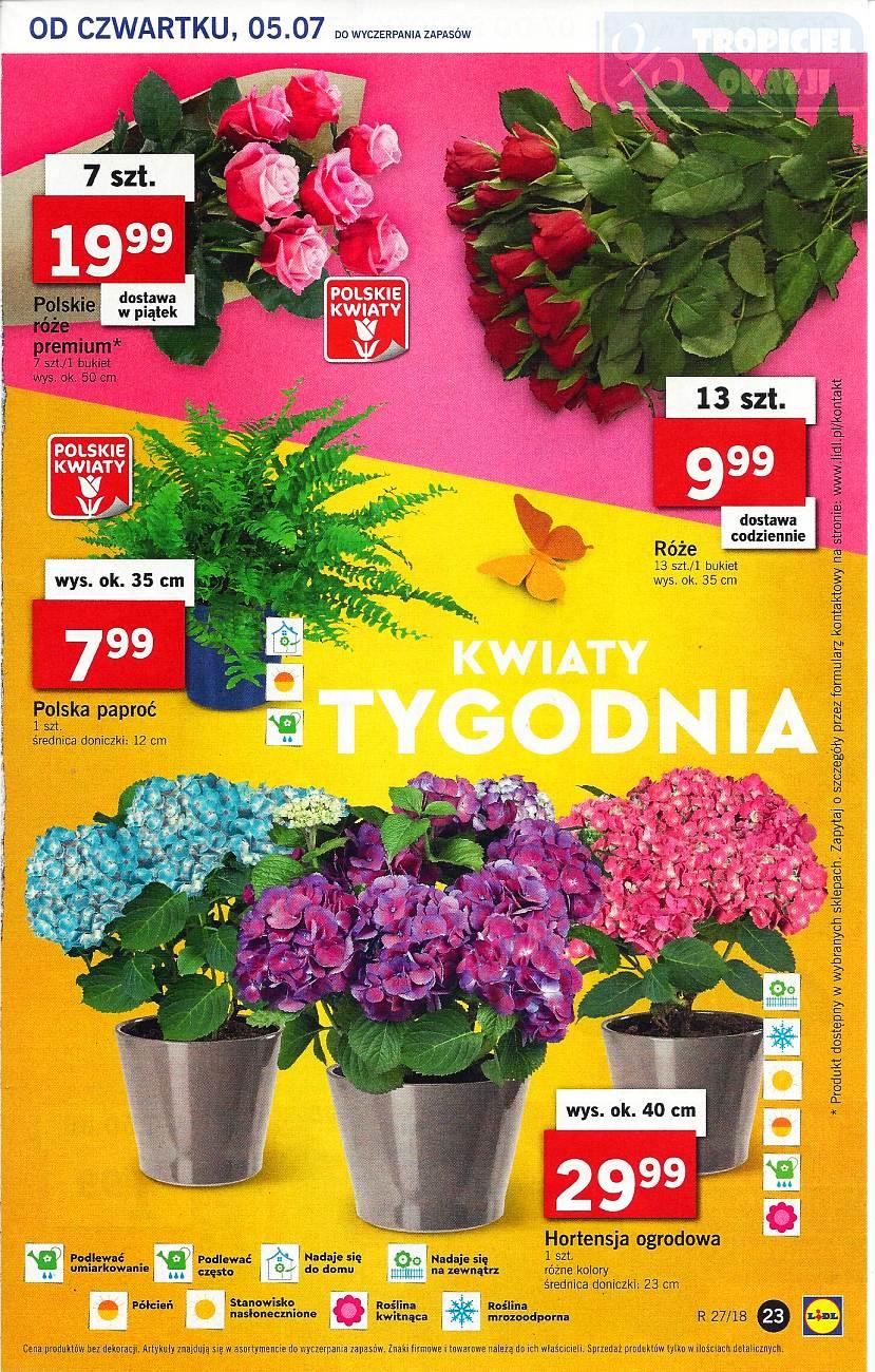 Gazetka promocyjna Lidl do 07/07/2018 str.23