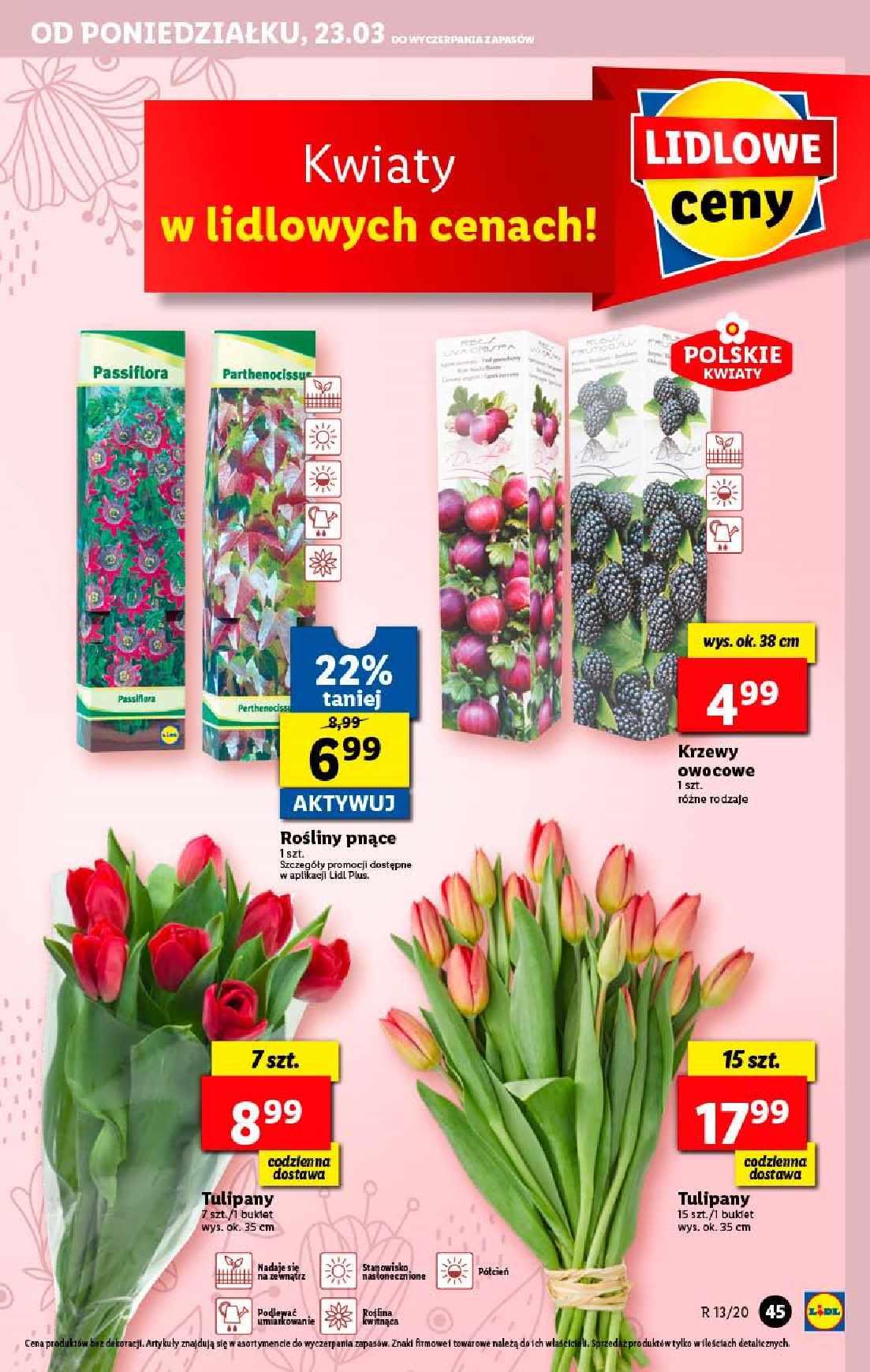 Gazetka promocyjna Lidl do 25/03/2020 str.45