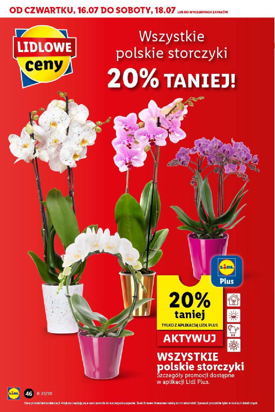 Gazetka promocyjna Lidl do 18/07/2020 str.46