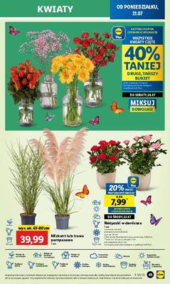 Lidl od poniedziałku