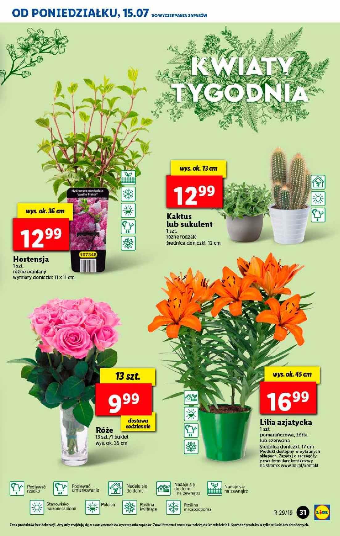 Gazetka promocyjna Lidl do 20/07/2019 str.31