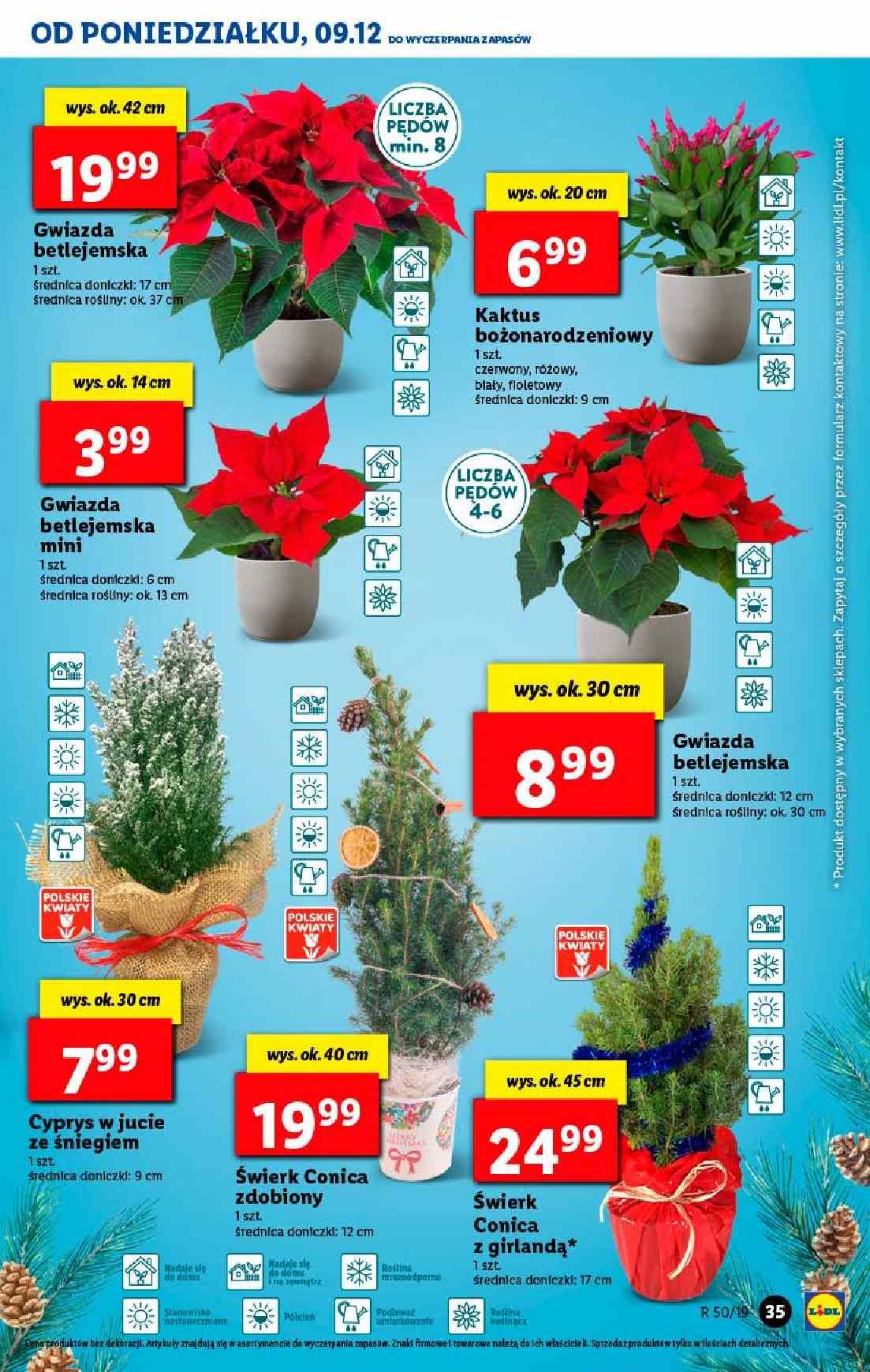 Gazetka promocyjna Lidl do 11/12/2019 str.35