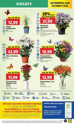 Lidl od czwartku