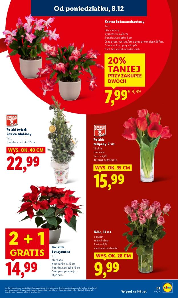 Gazetka promocyjna Lidl do 10/12/2025 str.69
