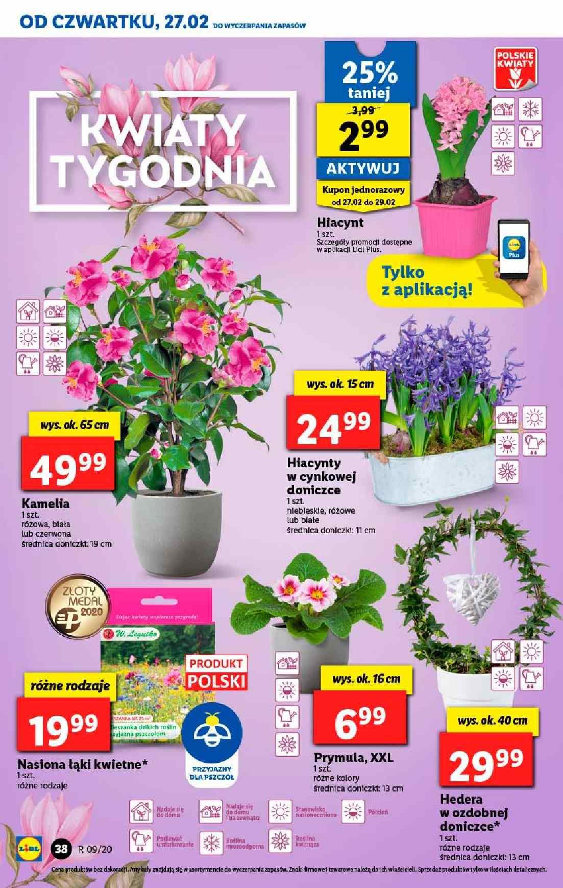 Gazetka promocyjna Lidl do 29/02/2020 str.38