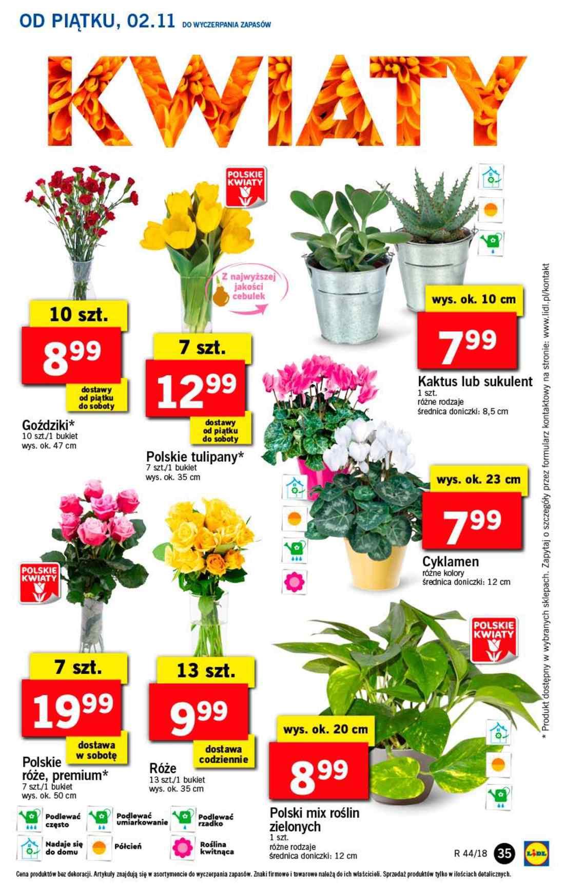 Gazetka promocyjna Lidl do 04/11/2018 str.35