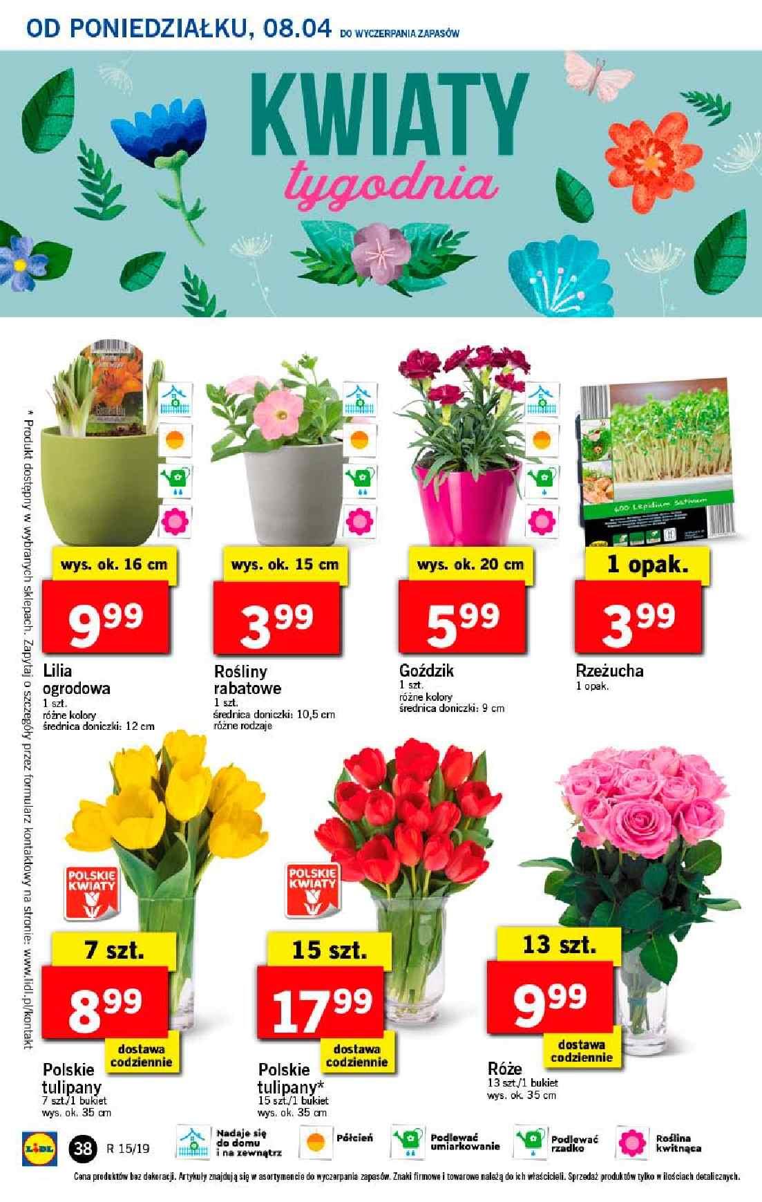 Gazetka promocyjna Lidl do 10/04/2019 str.38