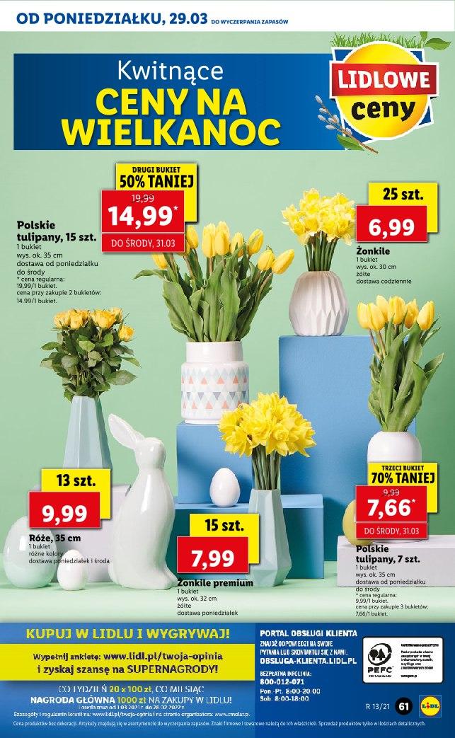 Gazetka promocyjna Lidl do 31/03/2021 str.61