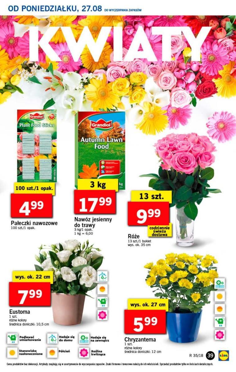 Gazetka promocyjna Lidl do 29/08/2018 str.39