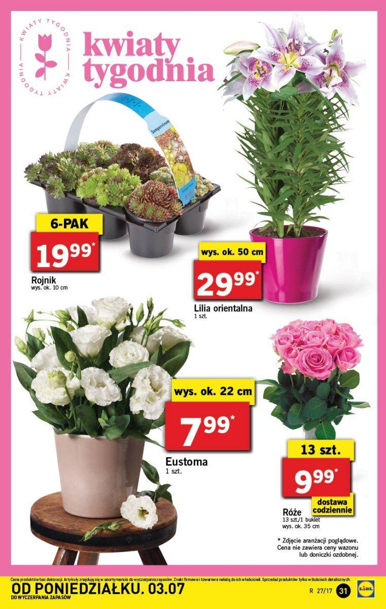 Gazetka promocyjna Lidl do 05/07/2017 str.31