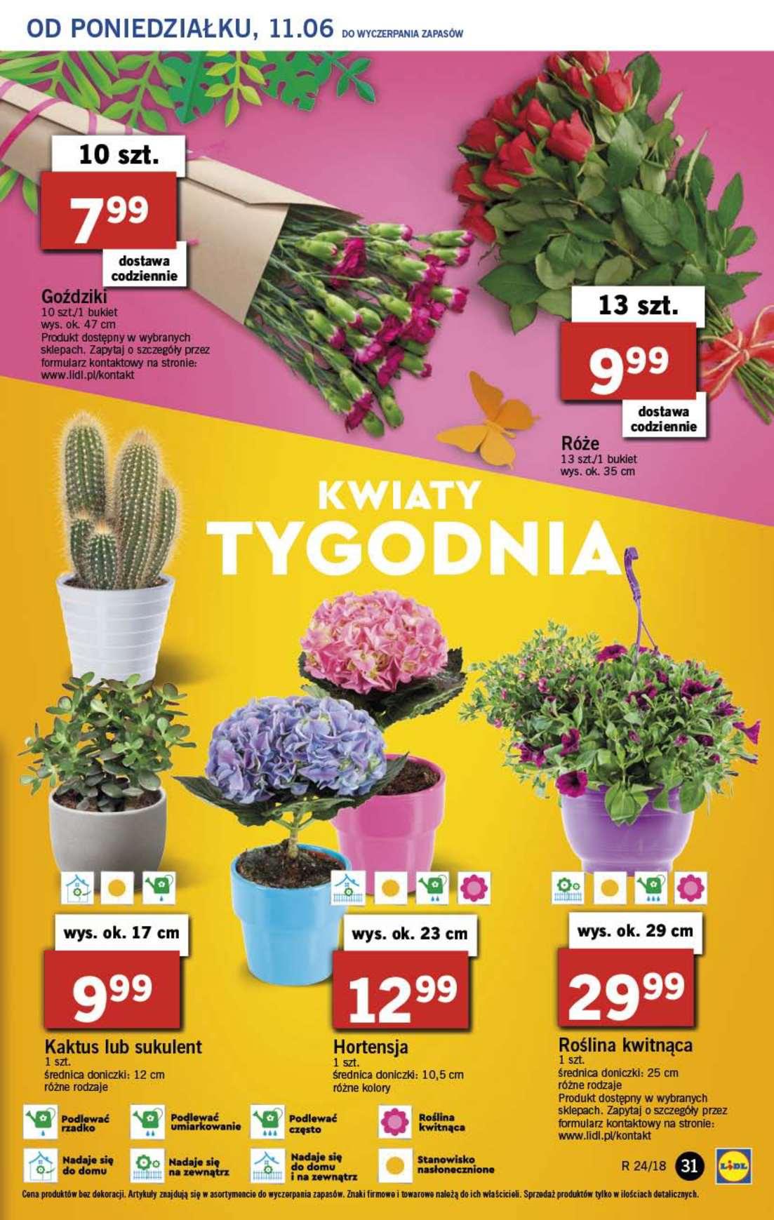 Gazetka promocyjna Lidl do 13/06/2018 str.31