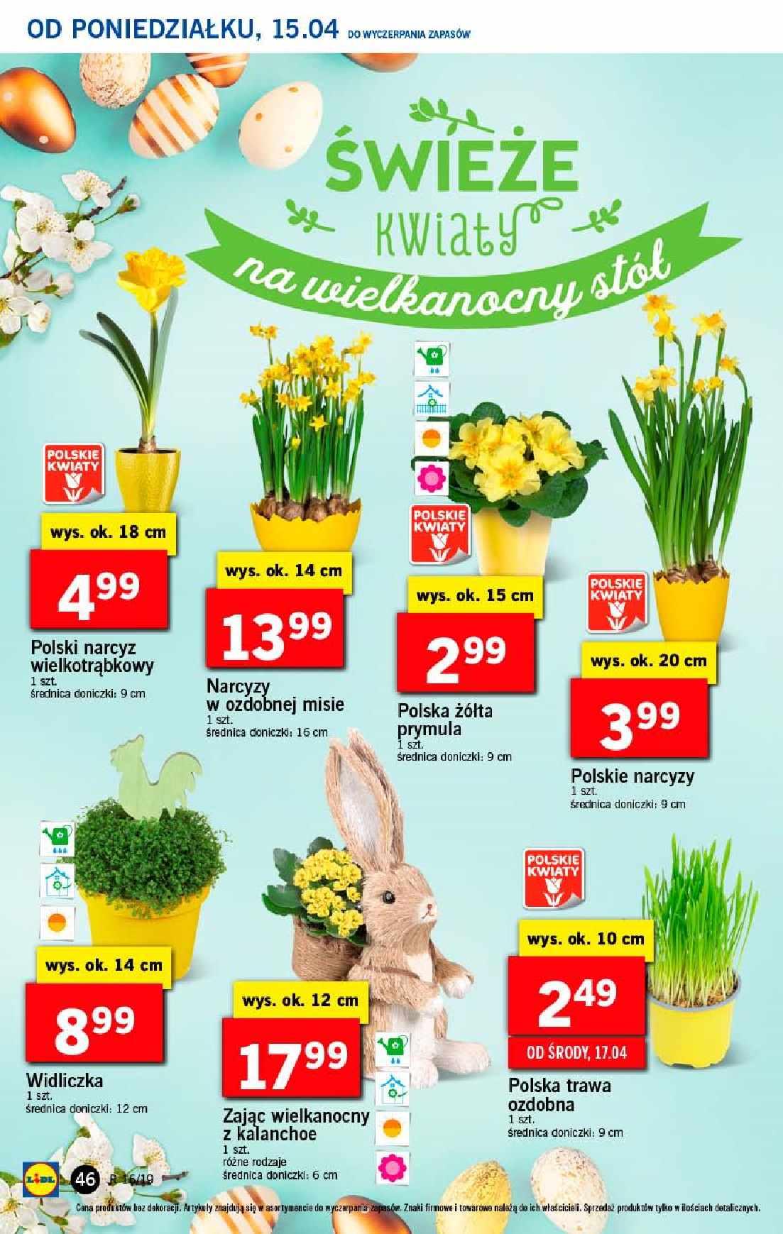 Gazetka promocyjna Lidl do 17/04/2019 str.46