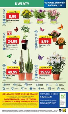 Lidl od poniedziałku
