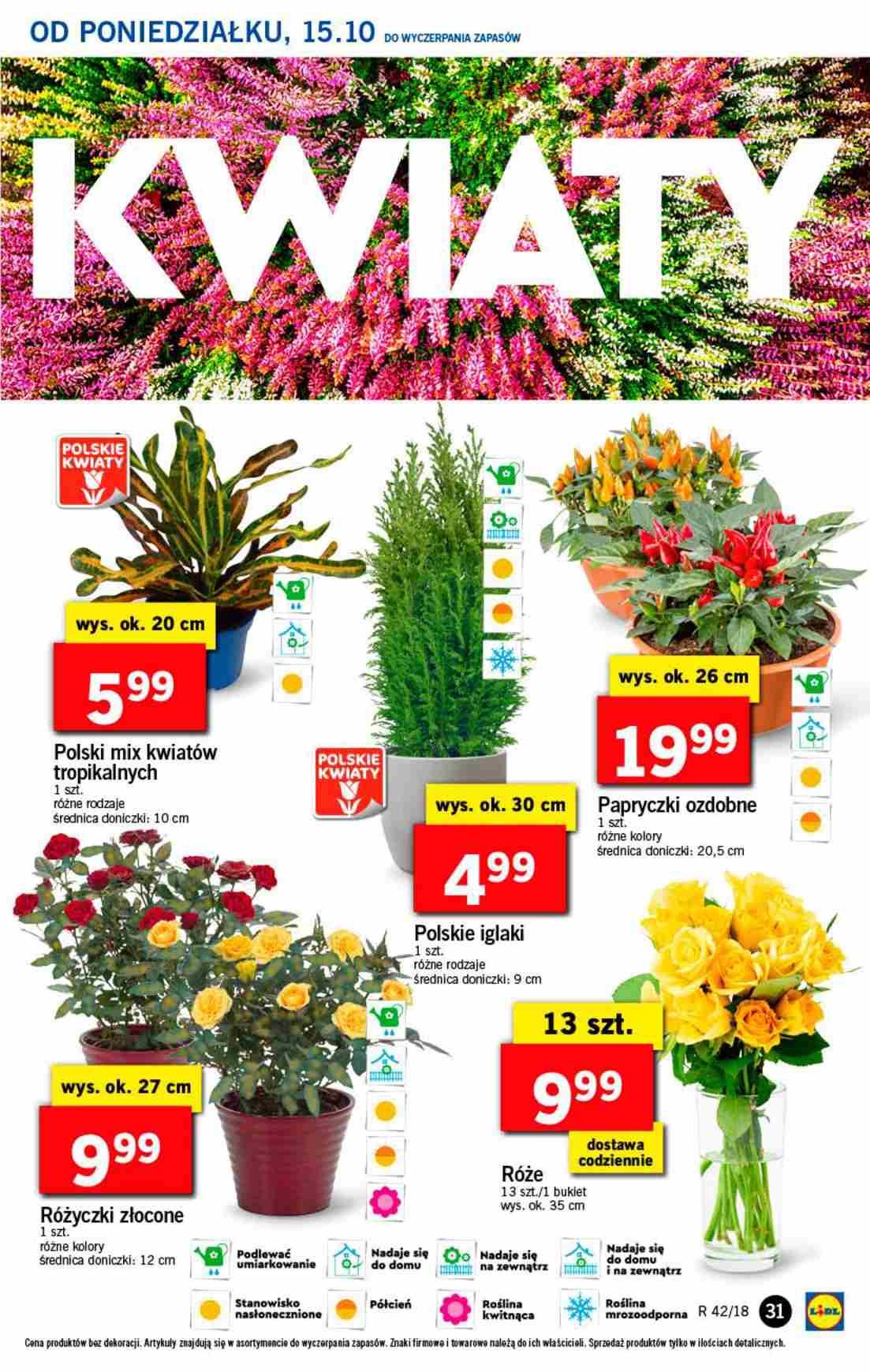 Gazetka promocyjna Lidl do 17/10/2018 str.31