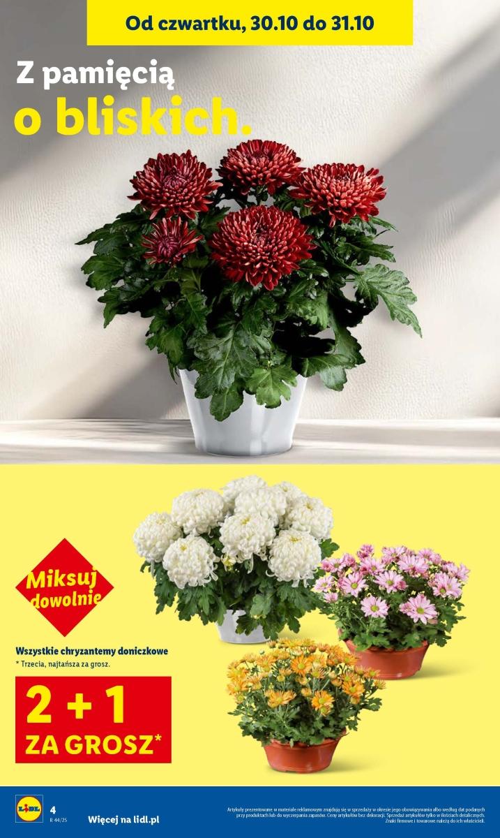Gazetka promocyjna Lidl do 31/10/2025 str.4