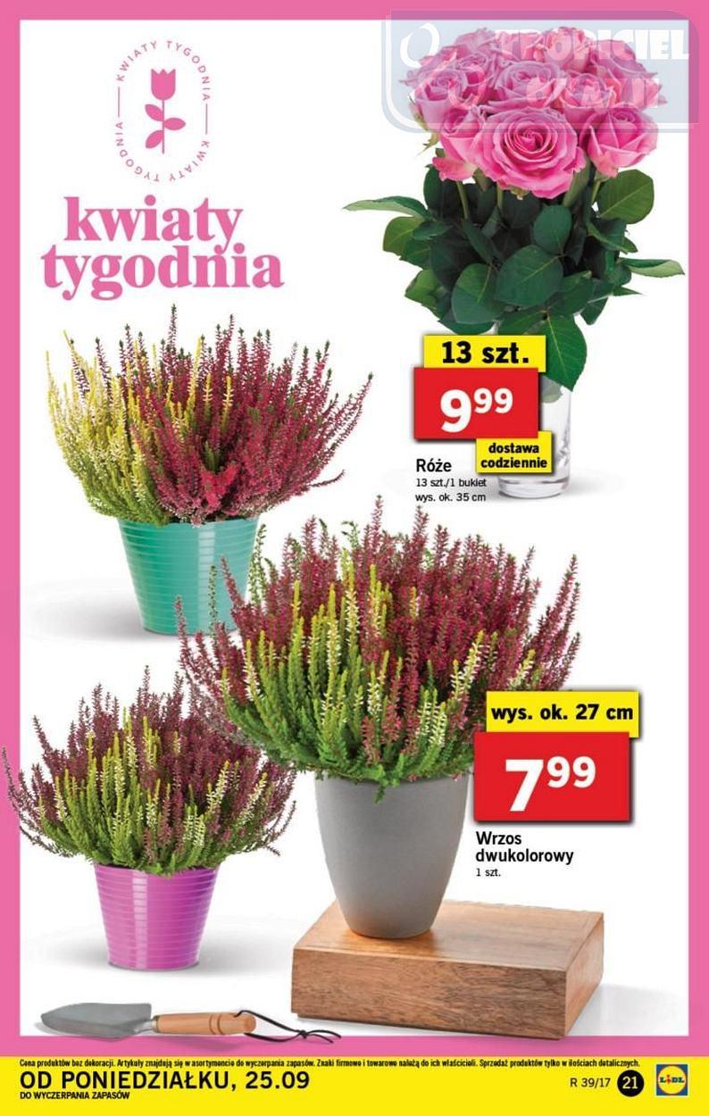 Gazetka promocyjna Lidl do 27/09/2017 str.21