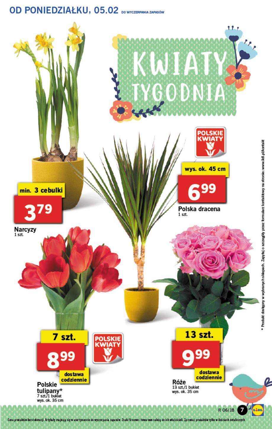 Gazetka promocyjna Lidl do 07/02/2018 str.7