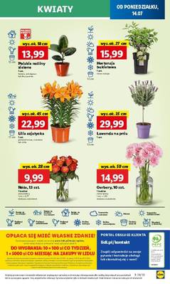 Lidl od poniedziałku